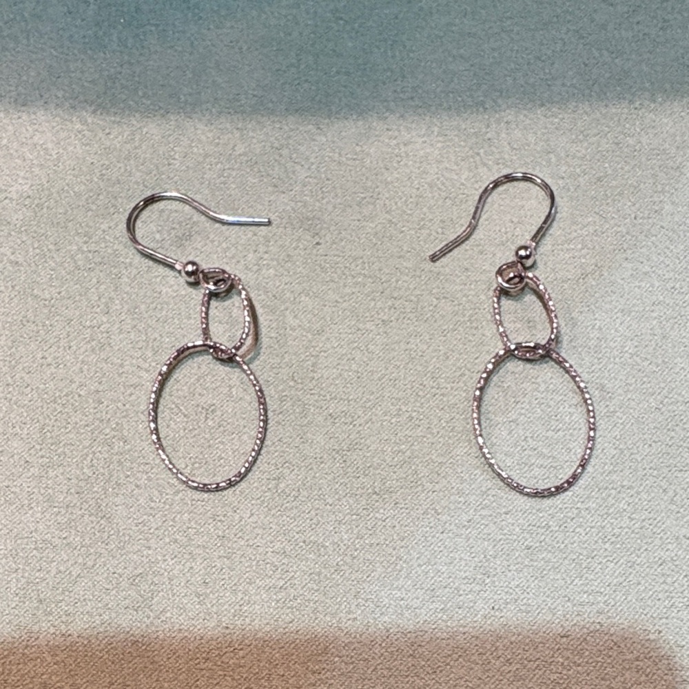 Elegant Silver Hoop Earrings